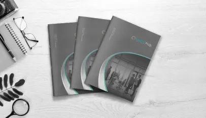 Lance Lighting Catalogue Design
